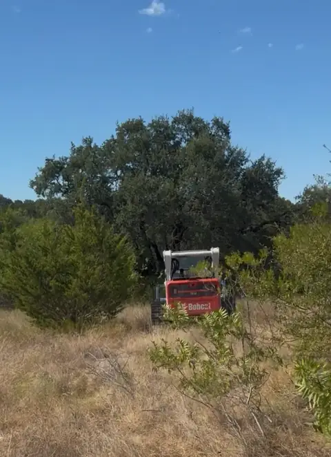 Overgrowth Removal